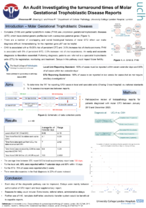 BAGP Molar GTD Audit v1