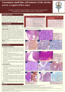 Poster 33