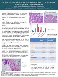 Poster 8