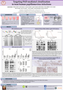 e-poster HPV citrullination_Camilla Albano