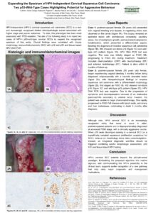 Karla Kabbach Prigenzi e-poster 2026-1